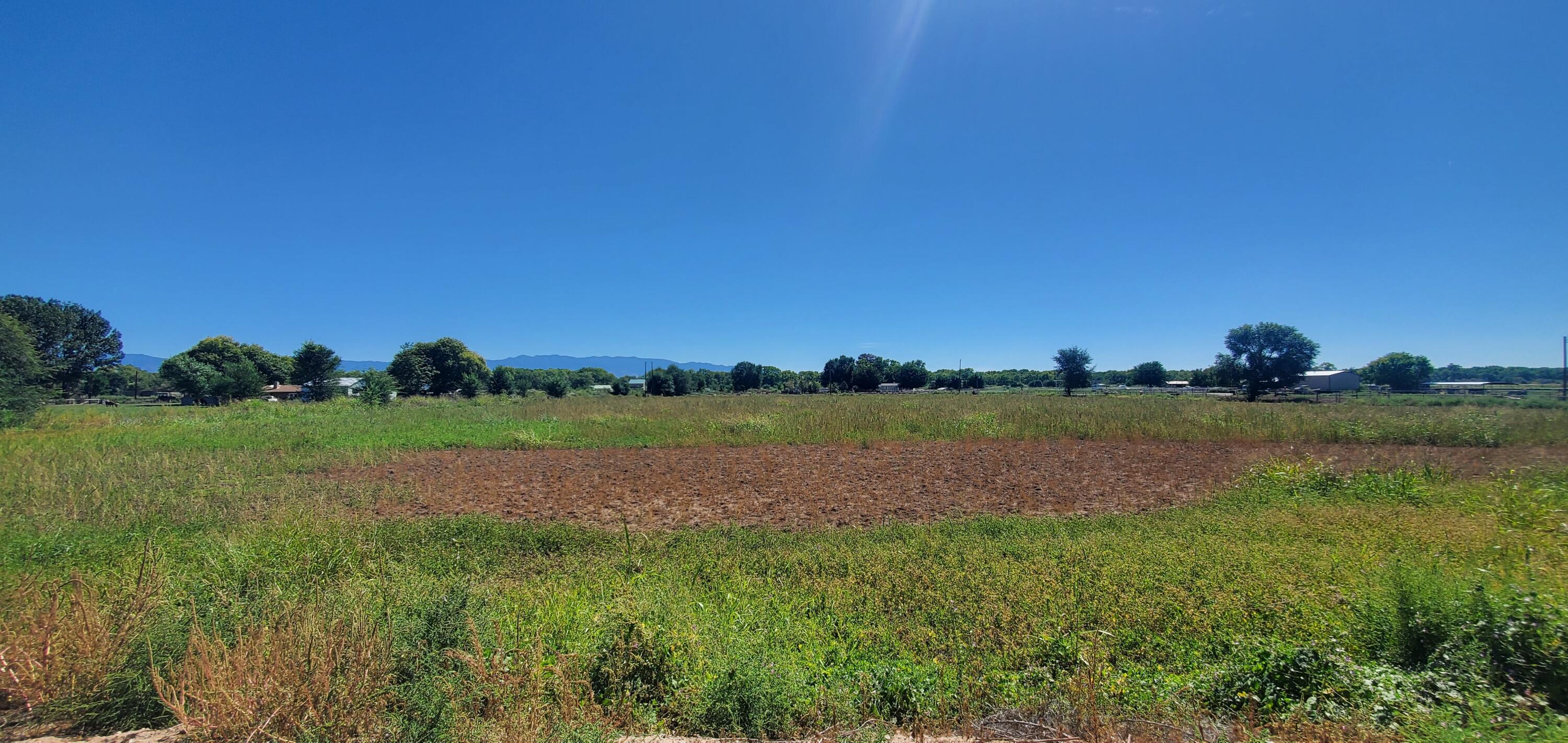 Vicente Road