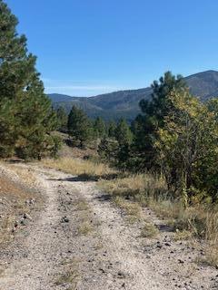 LOT 4 Cerro Redondo