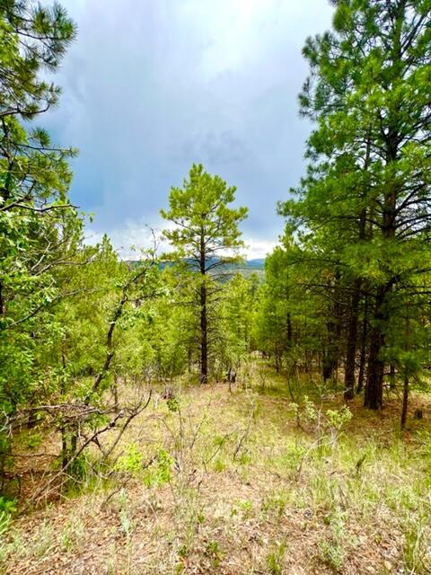 LOT 4 Cerro Redondo