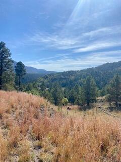 LOT 4 Cerro Redondo