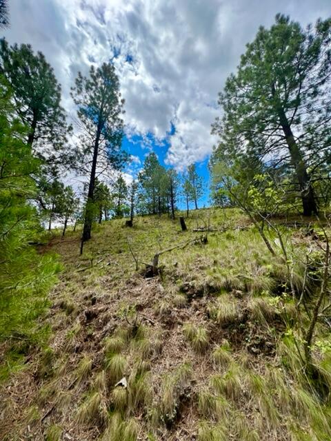 LOT 4 Cerro Redondo