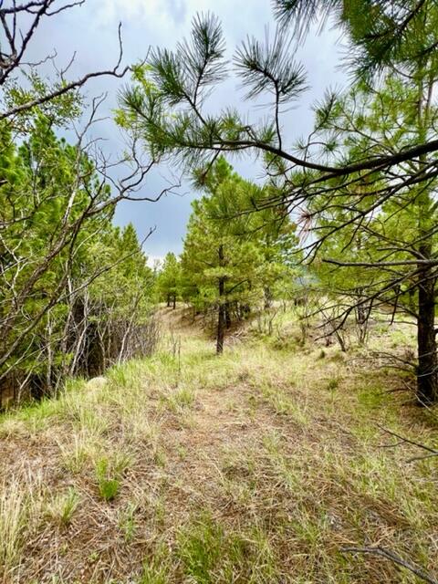 LOT 4 Cerro Redondo