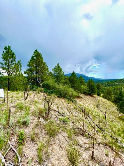 LOT 4 Cerro Redondo