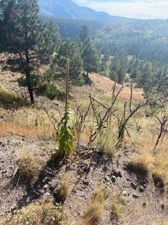 LOT 4 Cerro Redondo