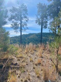 LOT 4 Cerro Redondo
