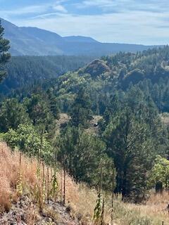 LOT 4 Cerro Redondo