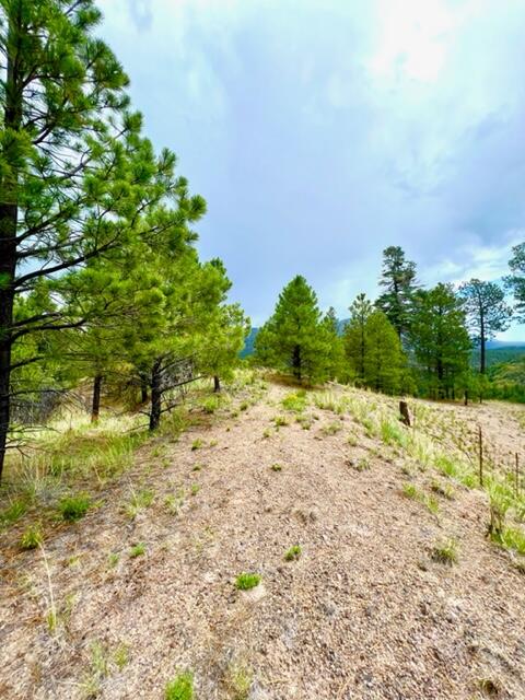 LOT 4 Cerro Redondo