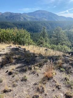LOT 4 Cerro Redondo