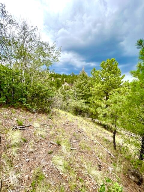 LOT 4 Cerro Redondo