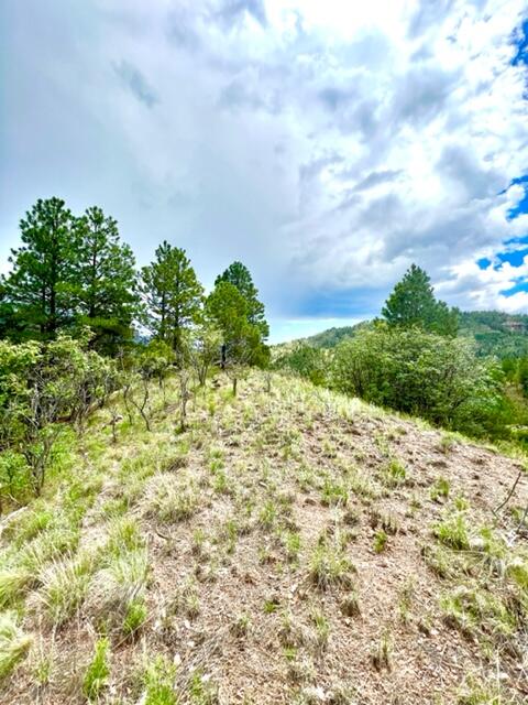 LOT 4 Cerro Redondo