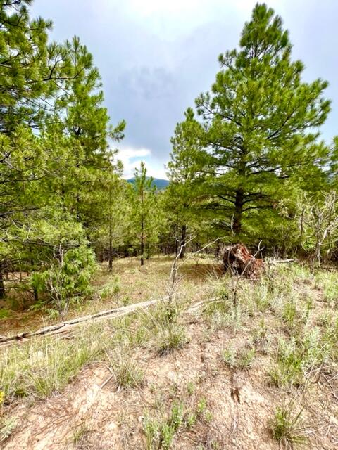 LOT 4 Cerro Redondo