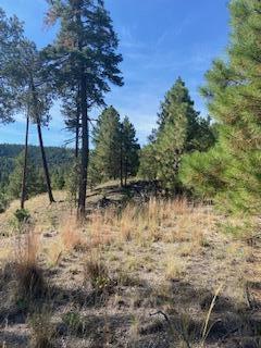 LOT 4 Cerro Redondo