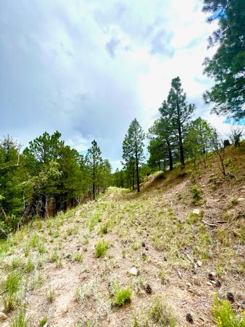 LOT 4 Cerro Redondo