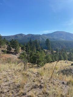 LOT 4 Cerro Redondo