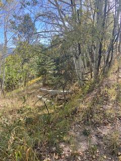 LOT 4 Cerro Redondo
