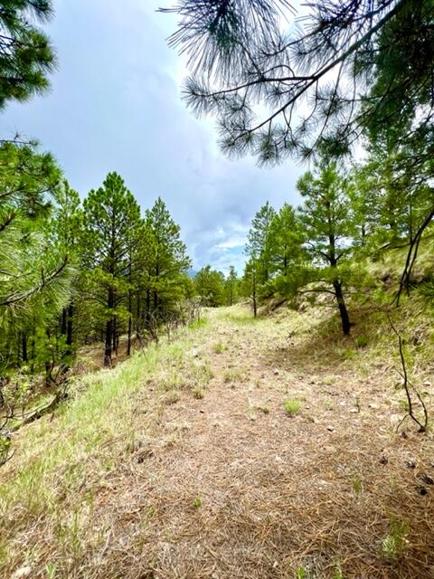 LOT 4 Cerro Redondo