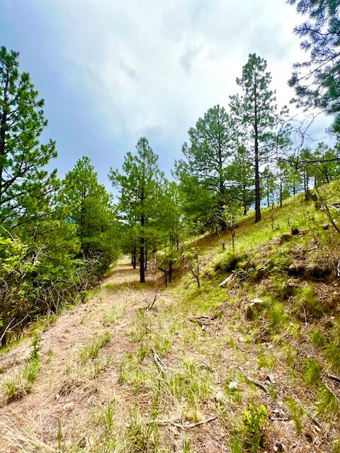 LOT 4 Cerro Redondo