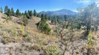 LOT 4 Cerro Redondo