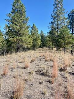 LOT 4 Cerro Redondo