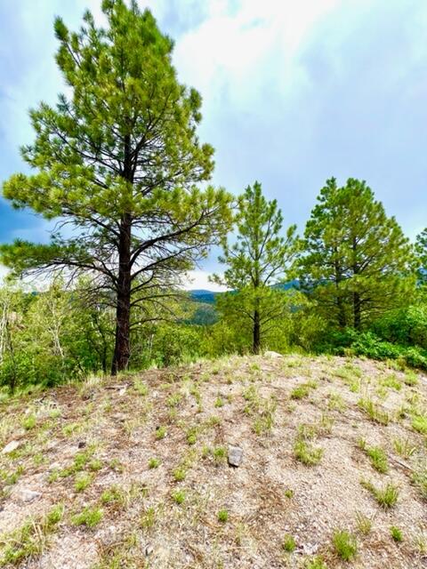 LOT 4 Cerro Redondo