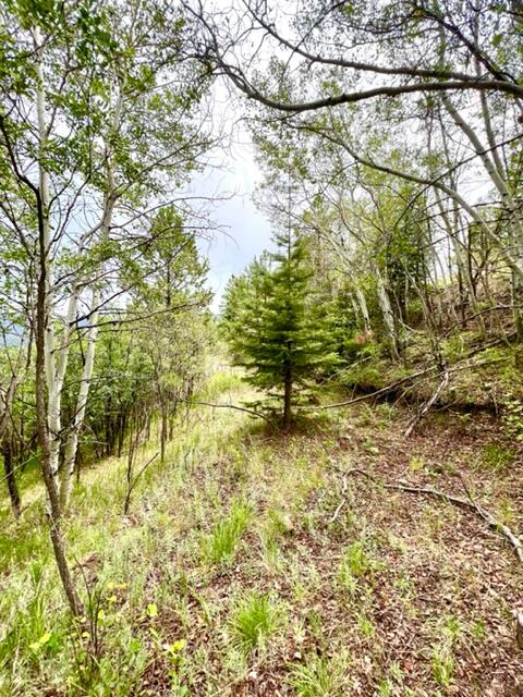 LOT 4 Cerro Redondo