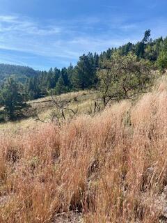 LOT 4 Cerro Redondo