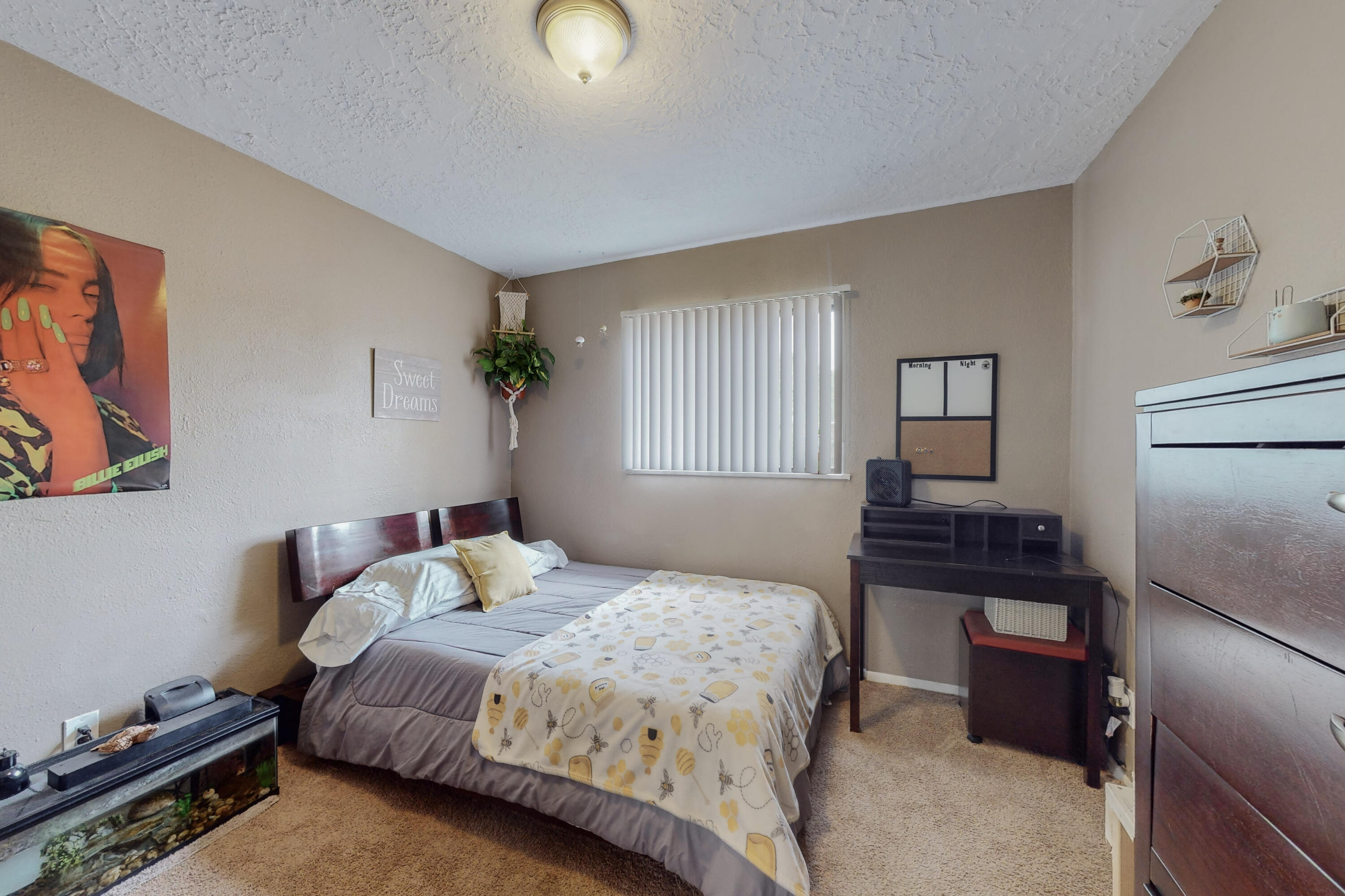 3702 JEANNE Court NE