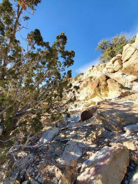 Camino de Las Huertas