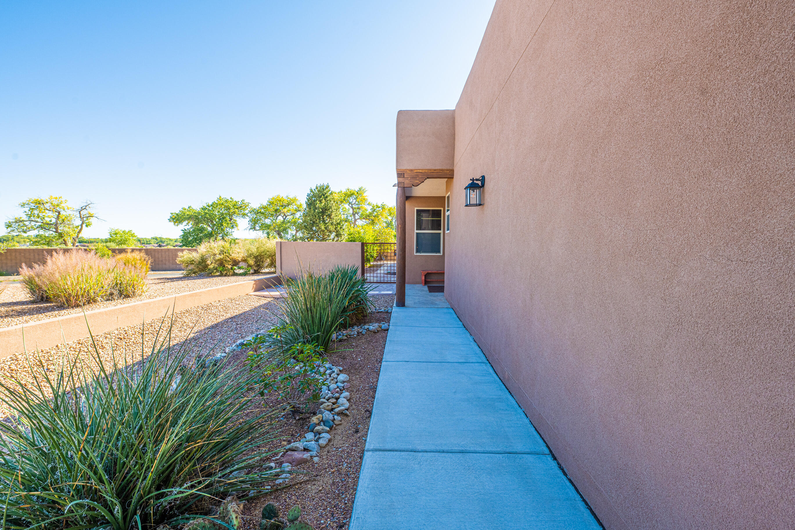 880 EVENING PRIMROSE Lane
