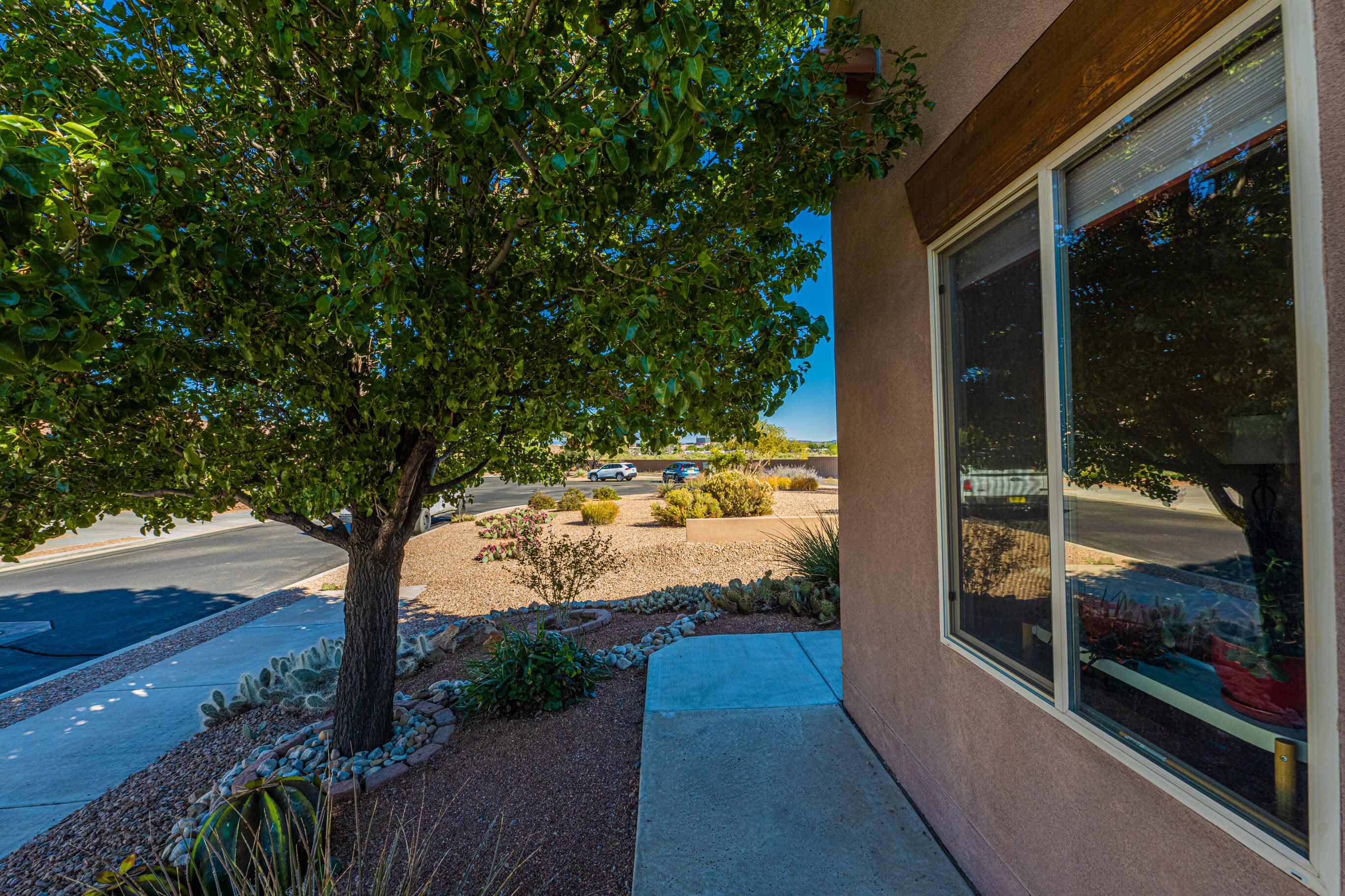 880 EVENING PRIMROSE Lane