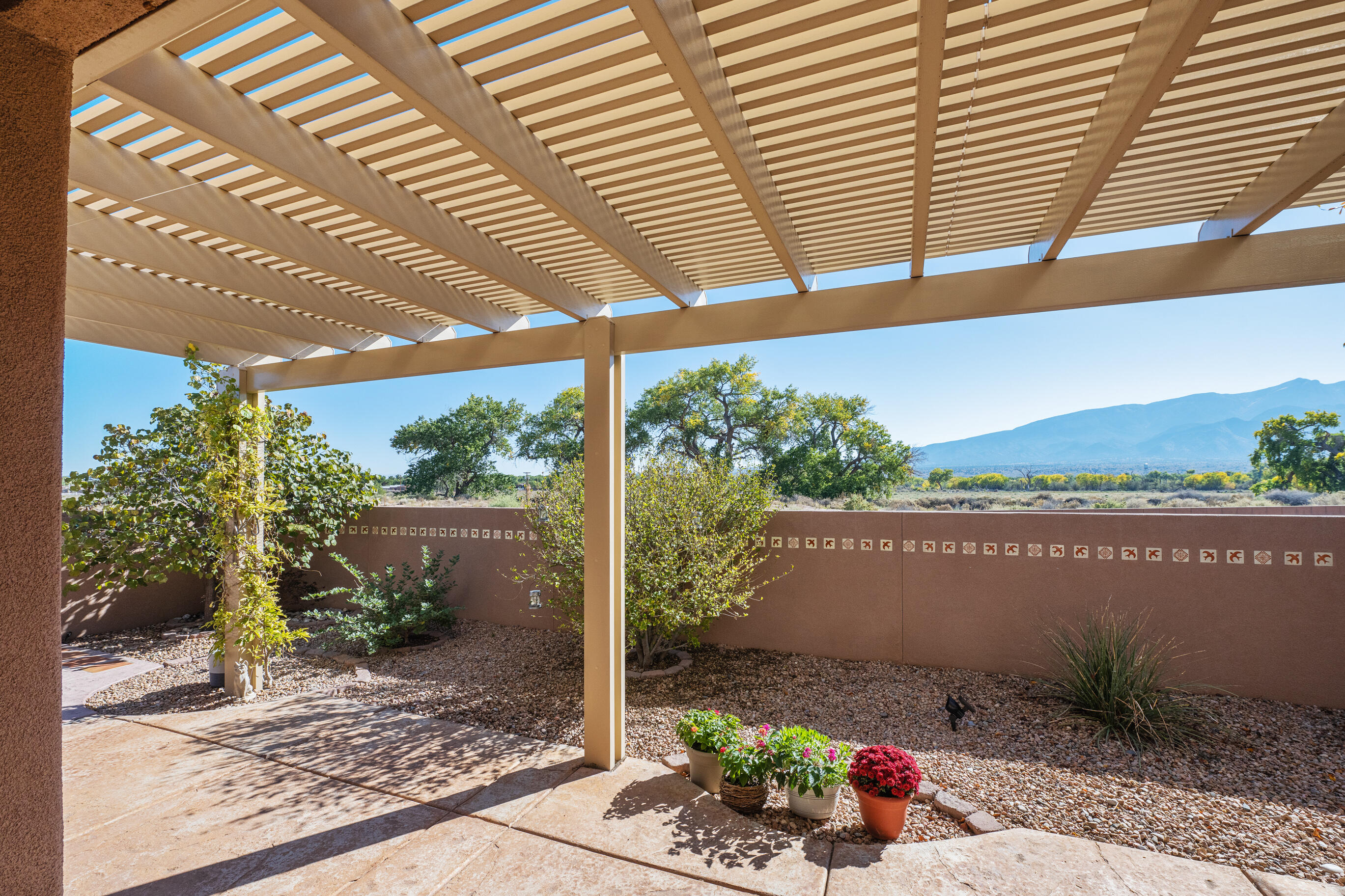 880 EVENING PRIMROSE Lane