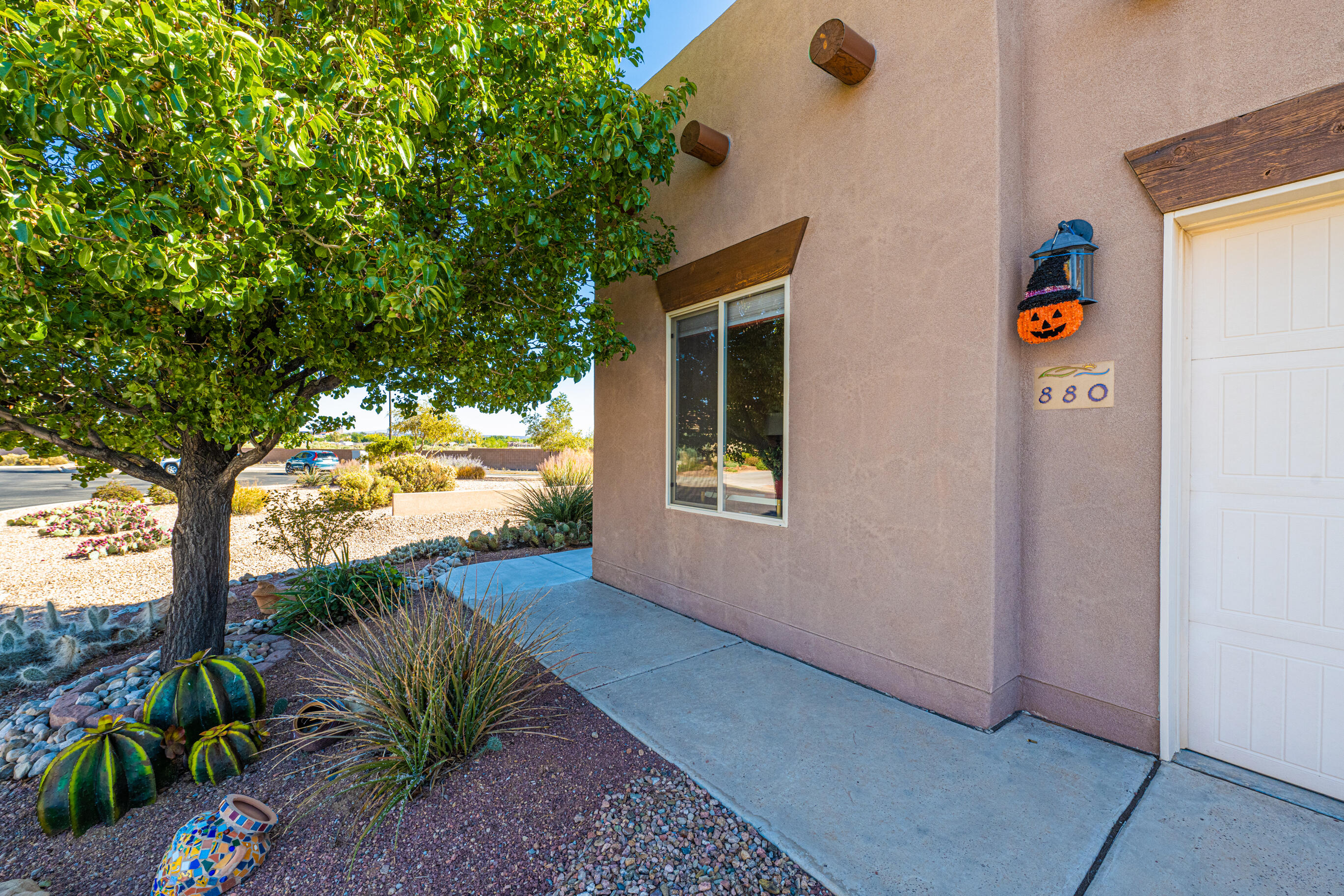 880 EVENING PRIMROSE Lane