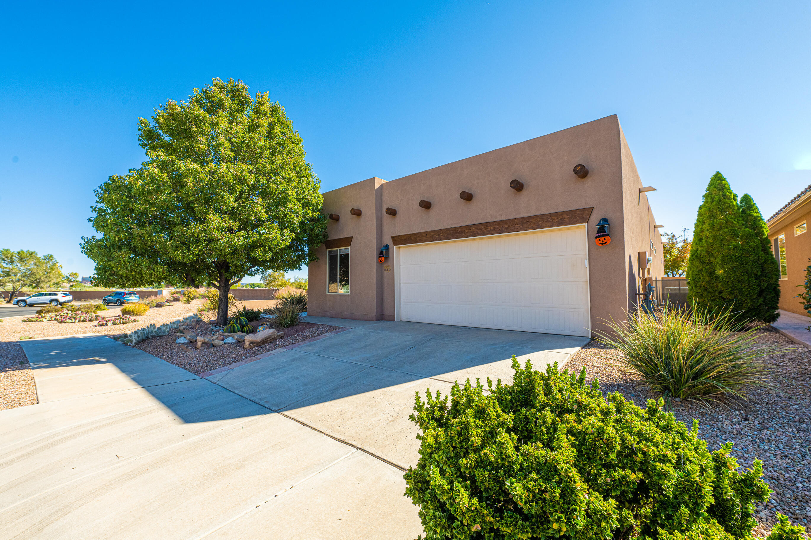 880 EVENING PRIMROSE Lane