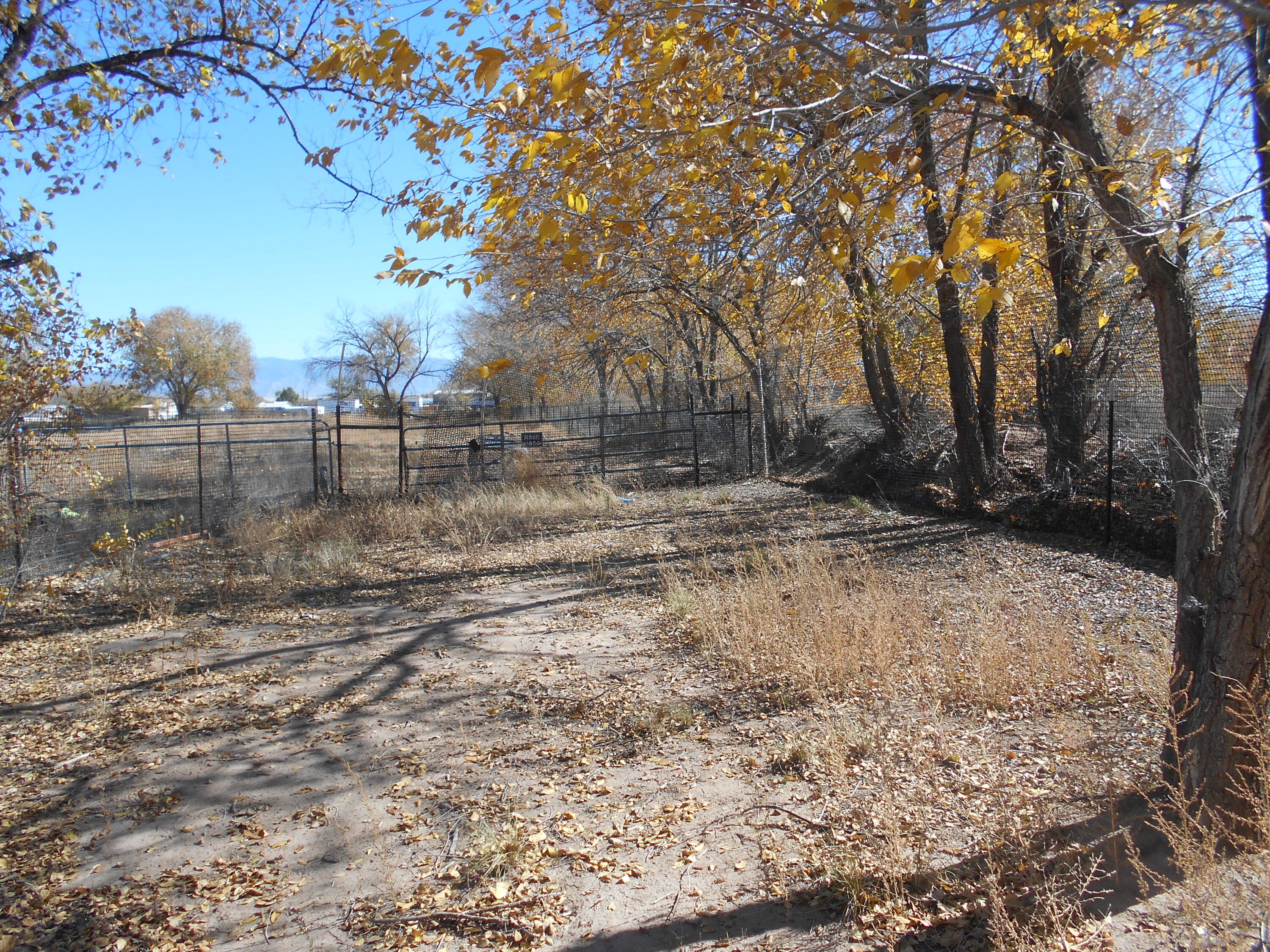 Jarales Road