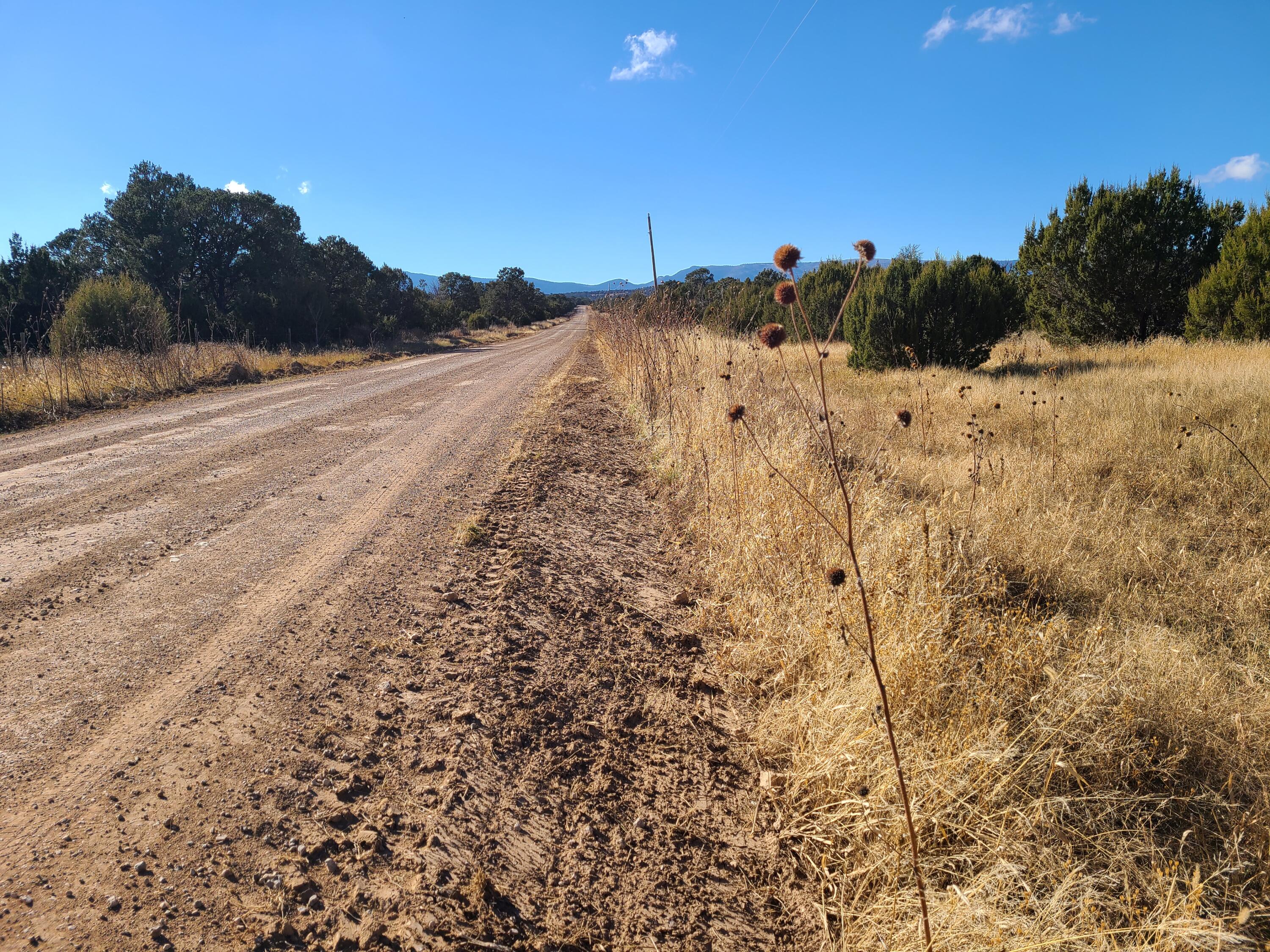 0 County Rd A012 Unit: 14