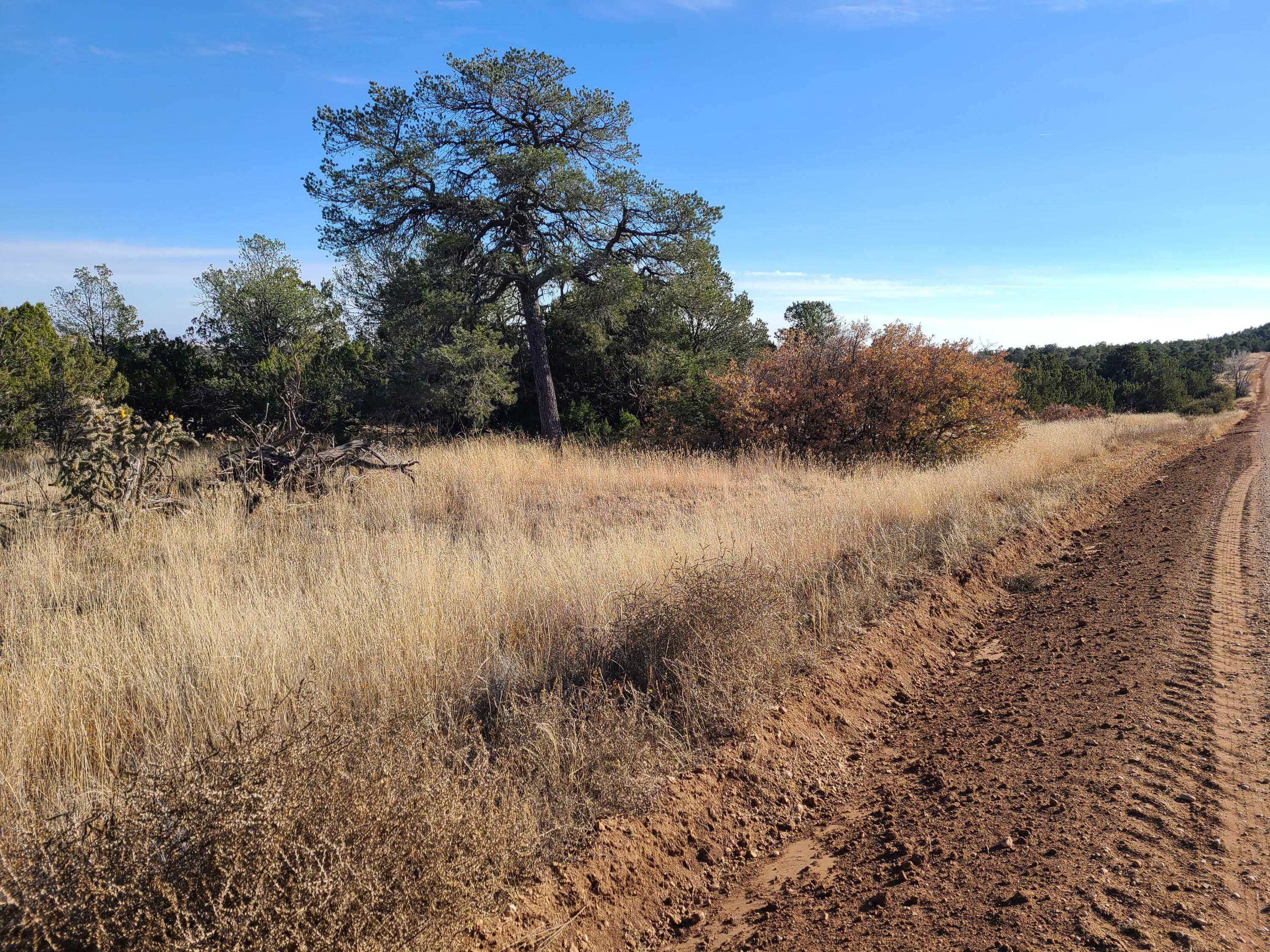 0 Rosewood Drive Unit: 12