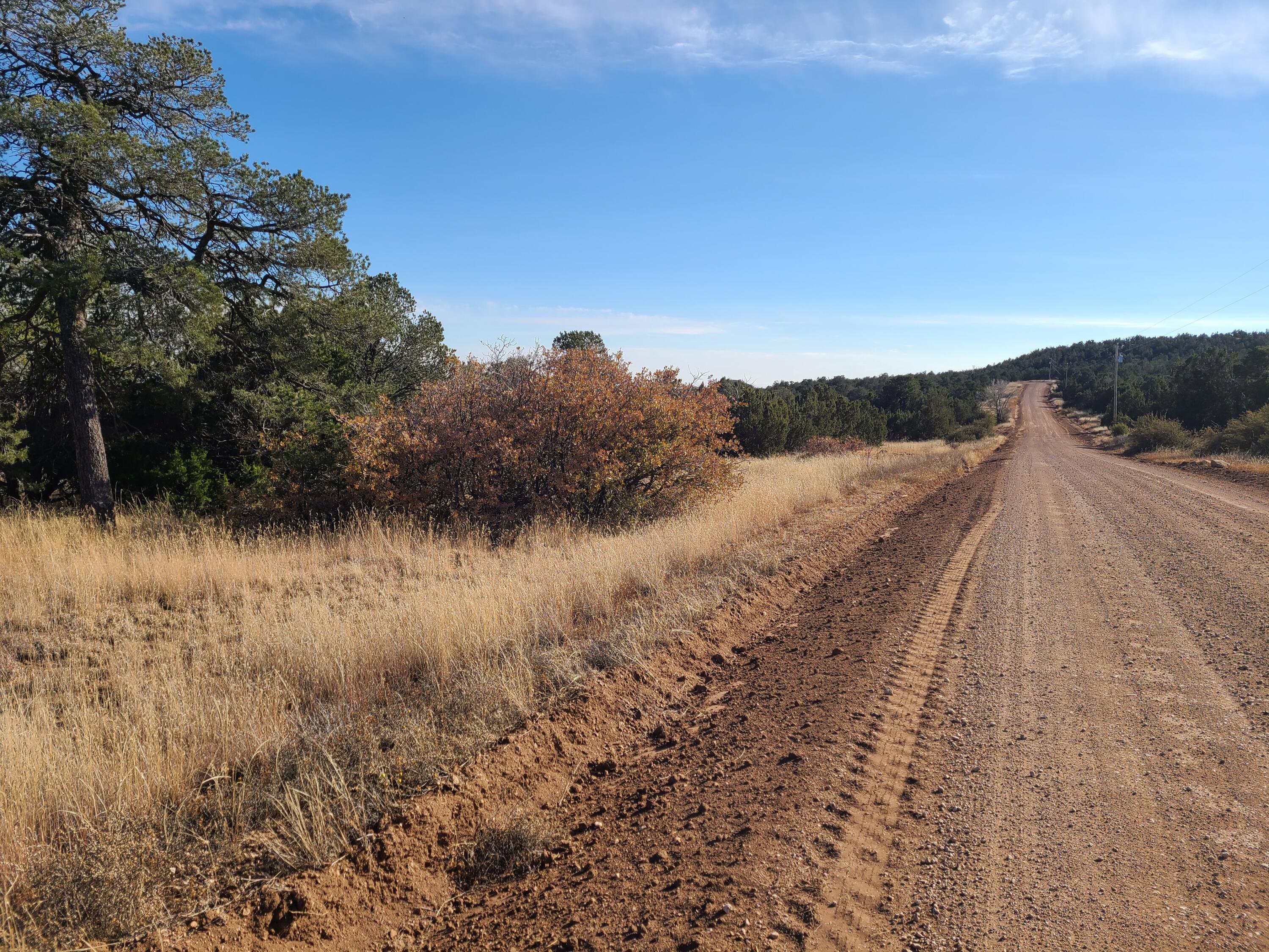 0 Rosewood Drive Unit: 12