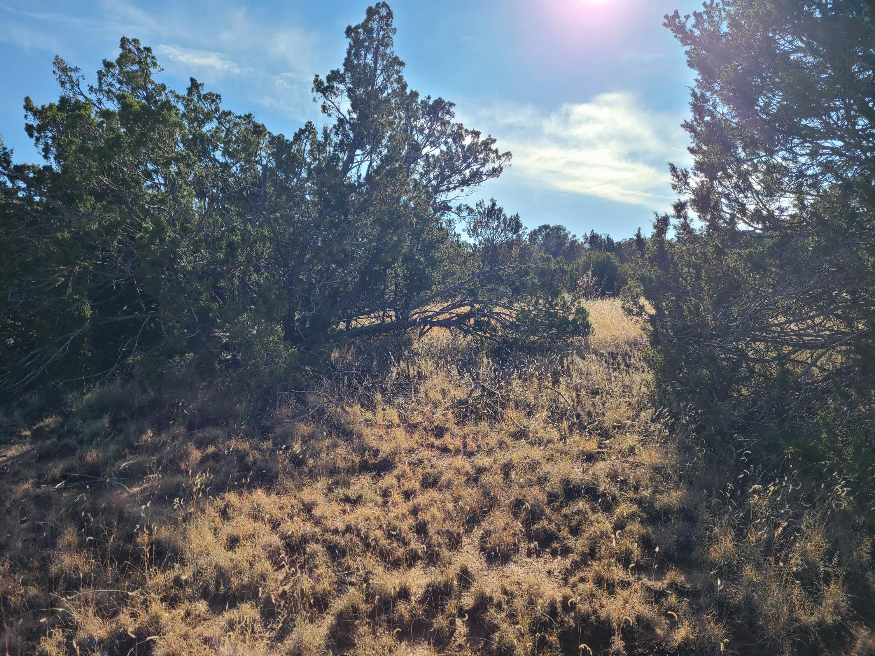 0 Rosewood Drive Unit: 12