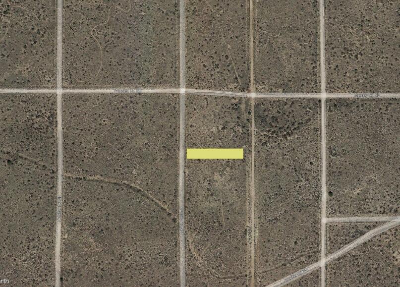 Natalie (U25,BC,L42) Road NE
