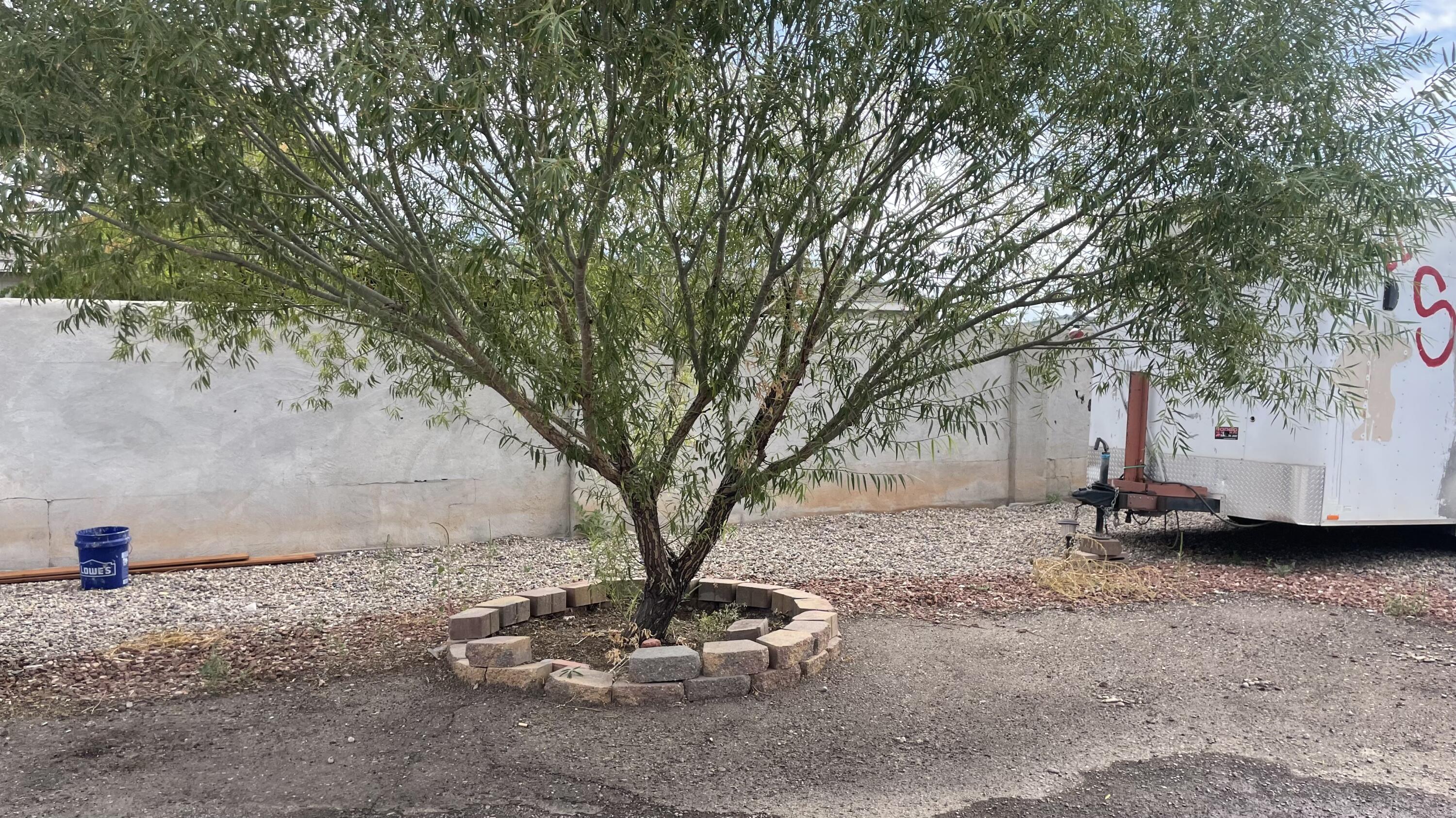 597 CAROLINA Drive