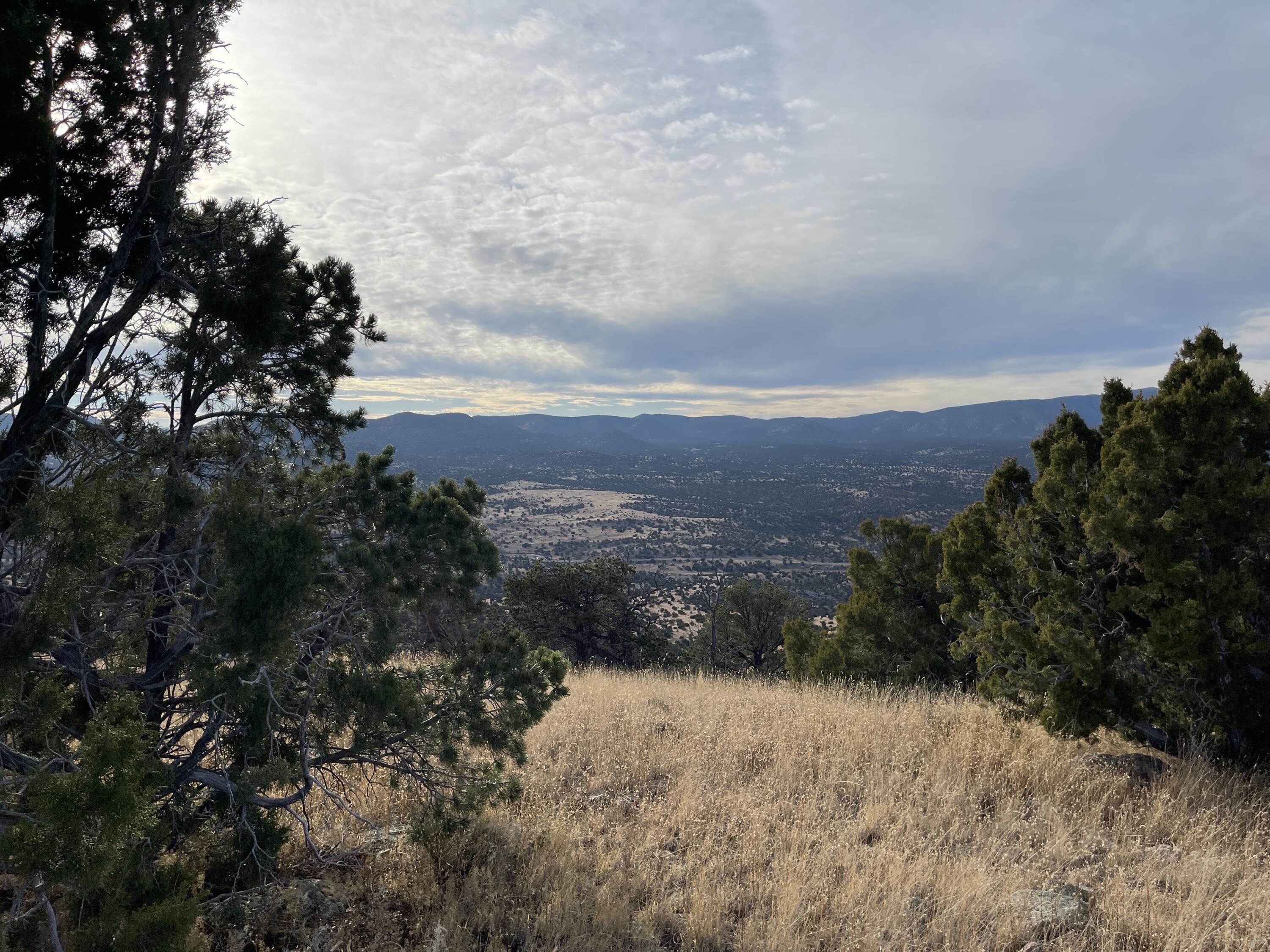 Lot 136 Pinon Springs Ranch