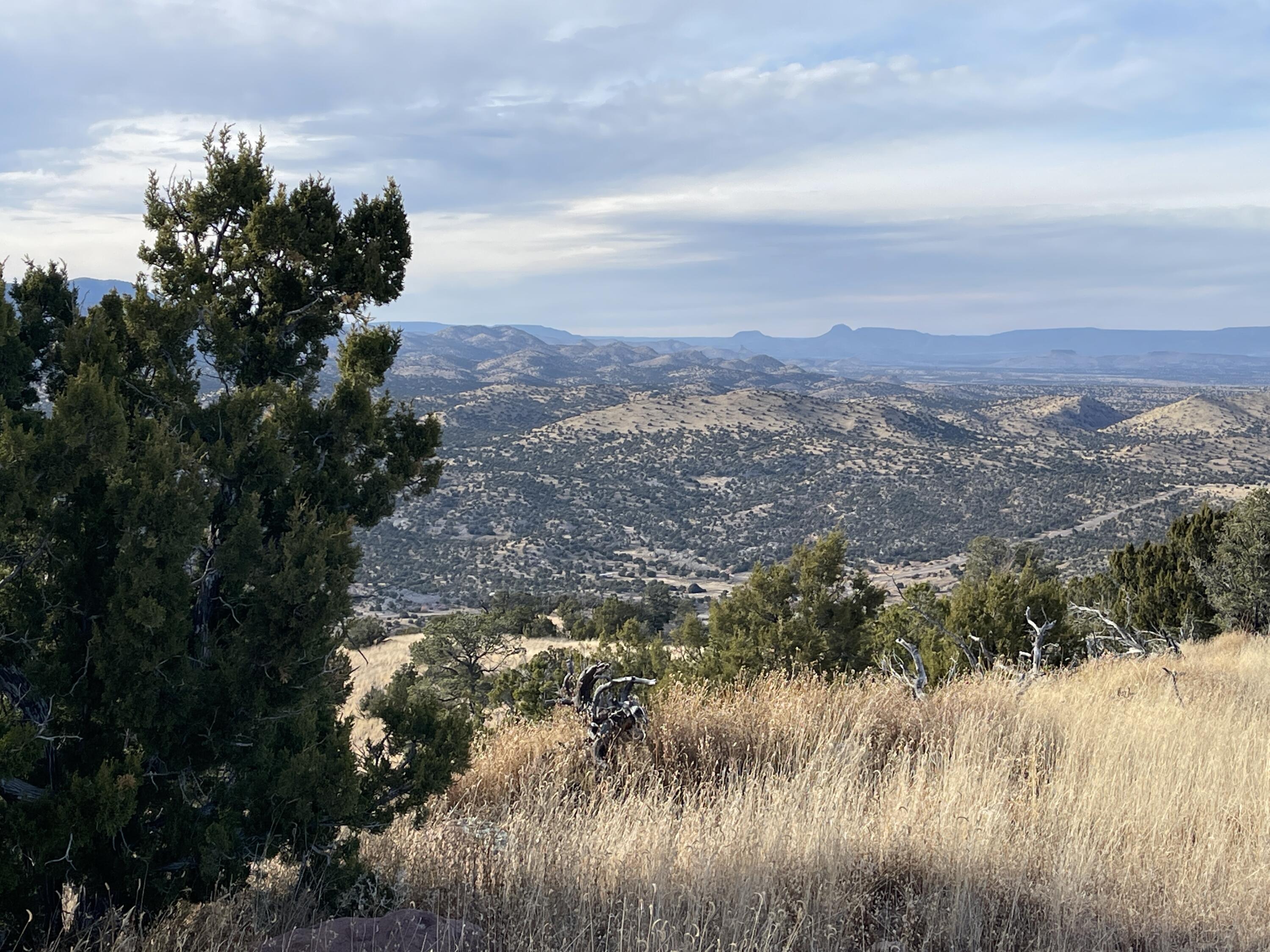 Lot 136 Pinon Springs Ranch