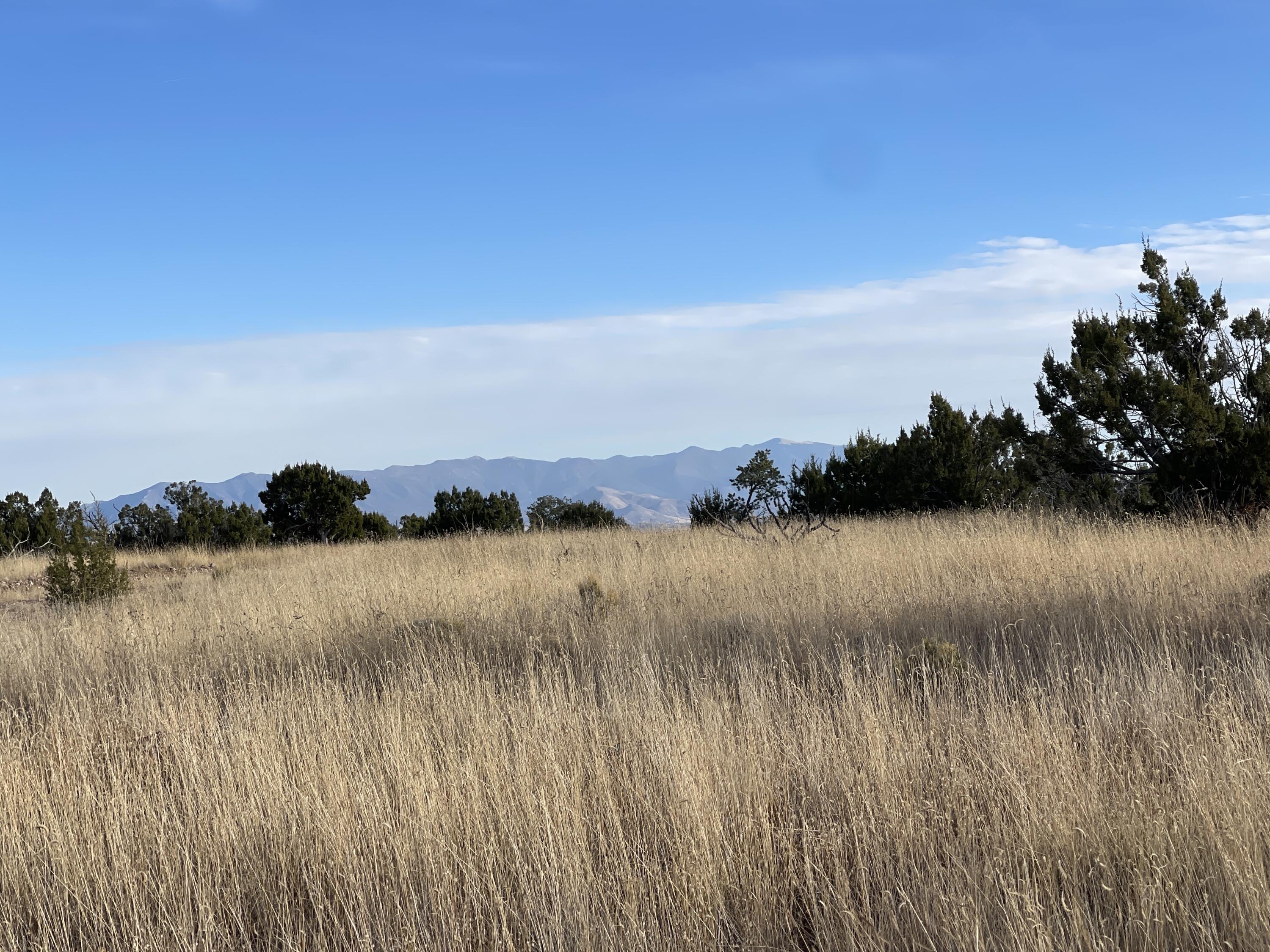 Lot 136 Pinon Springs Ranch