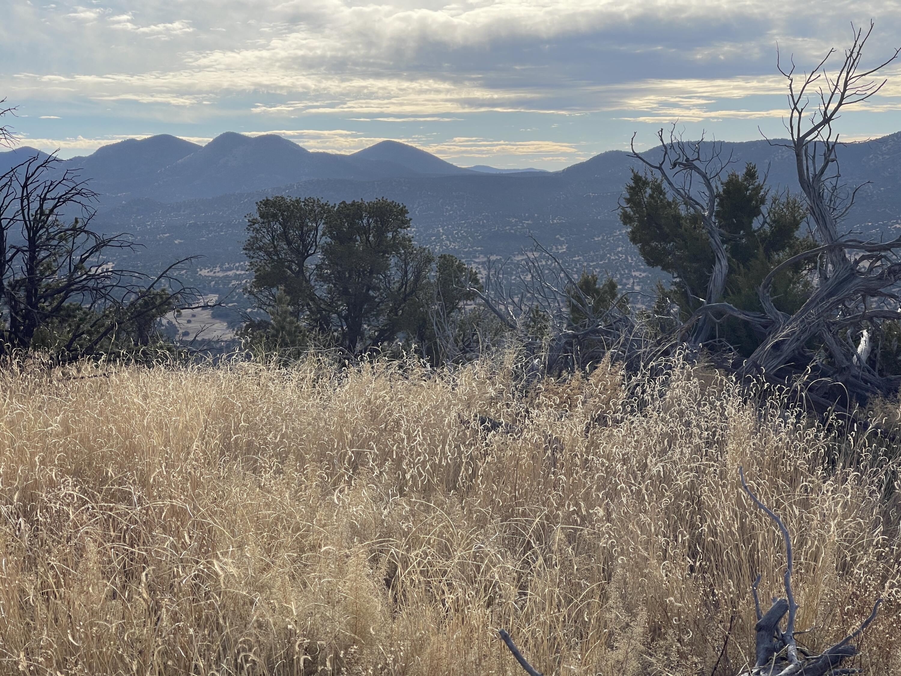 Lot 136 Pinon Springs Ranch