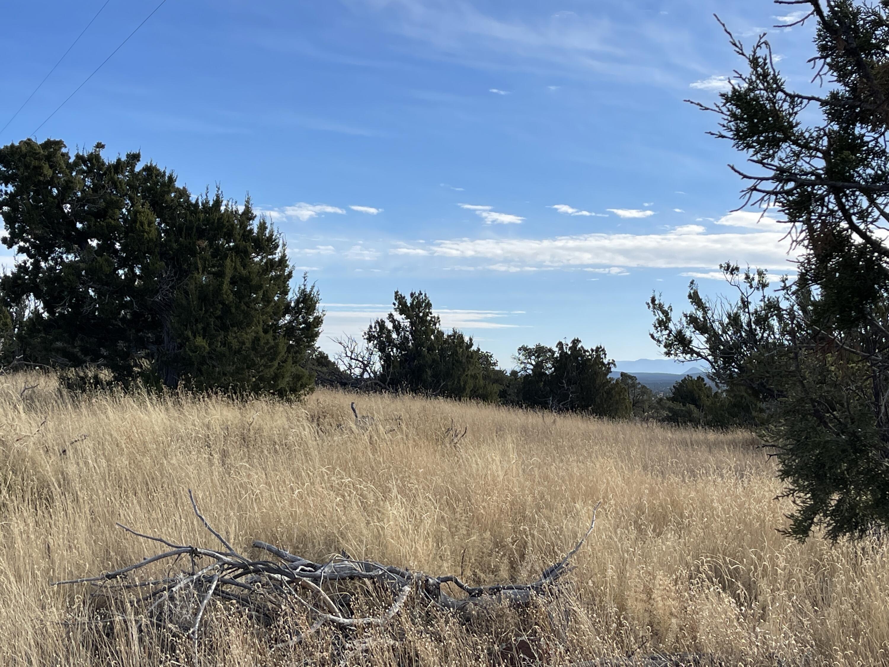 Lot 136 Pinon Springs Ranch