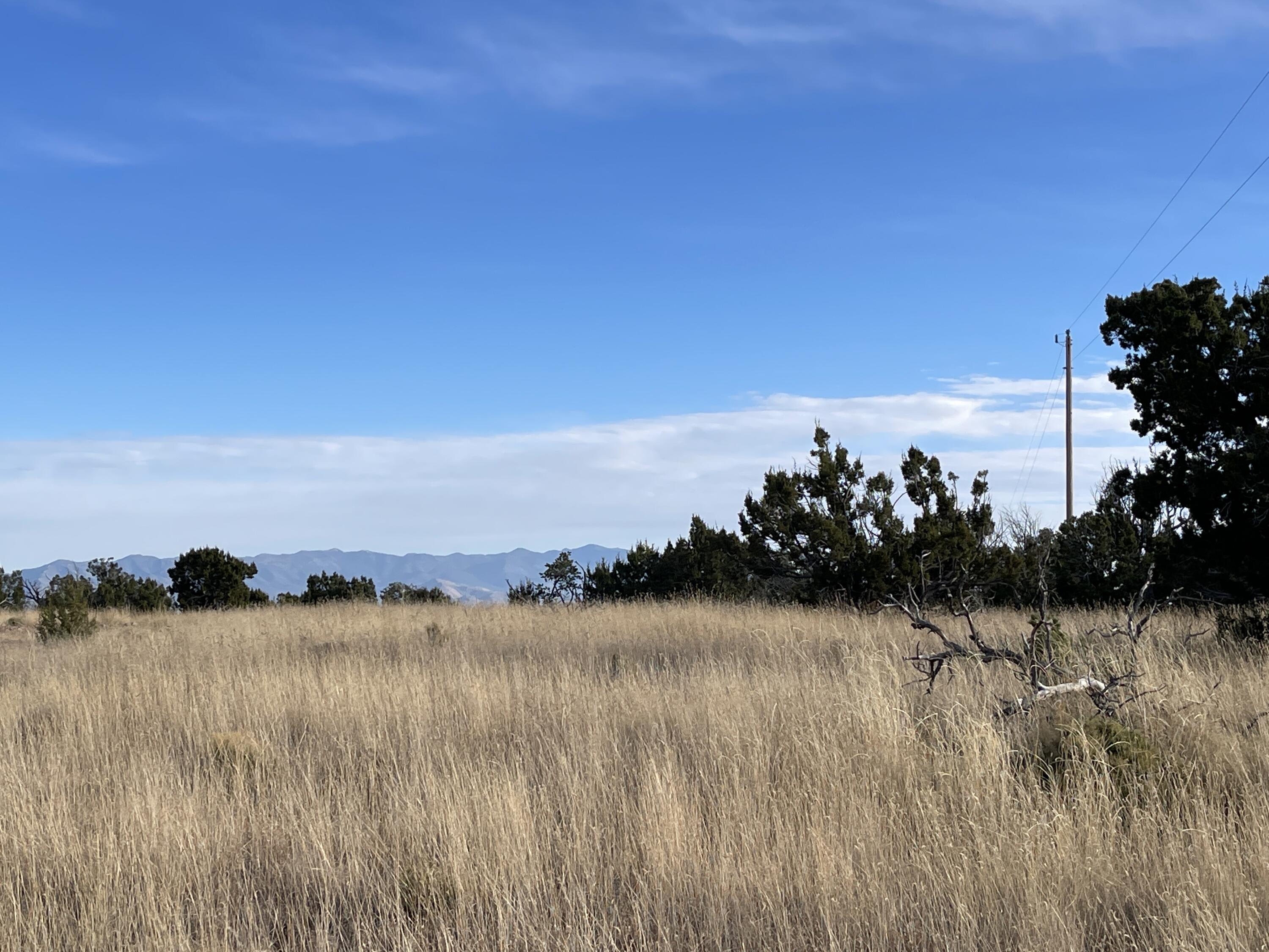 Lot 136 Pinon Springs Ranch