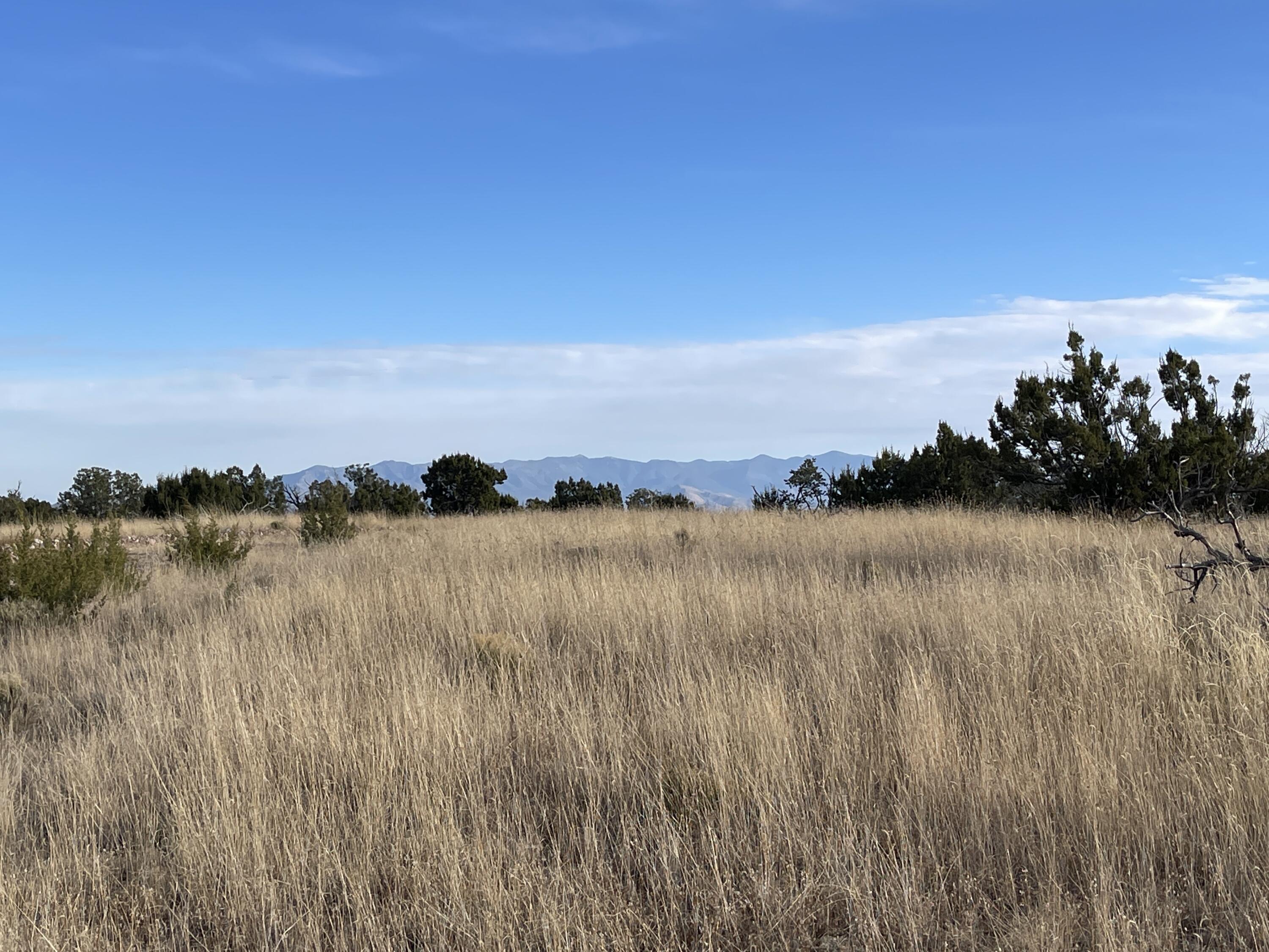Lot 136 Pinon Springs Ranch