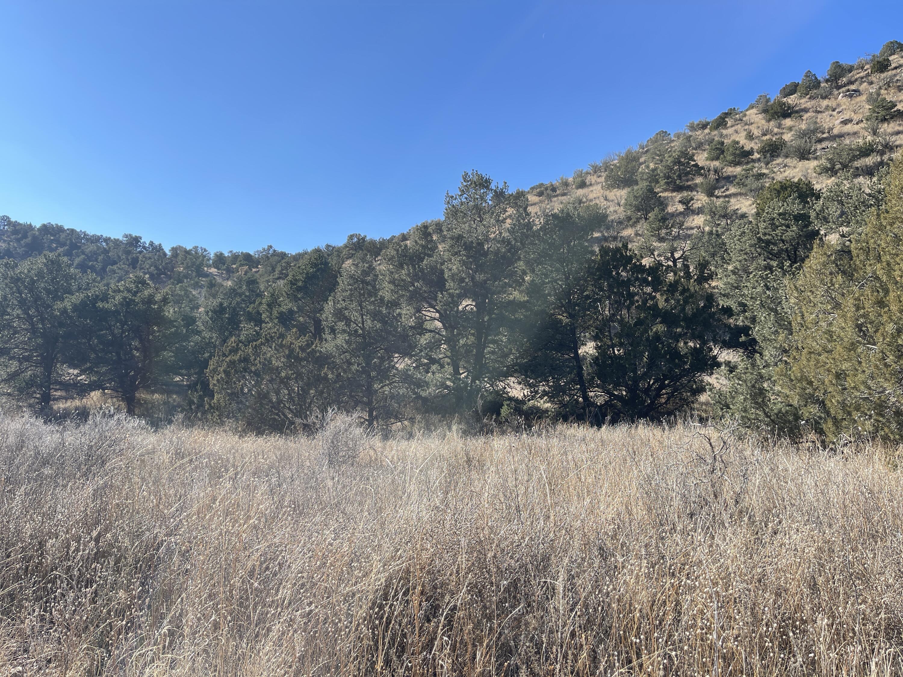 14+ Acres Hop Canyon