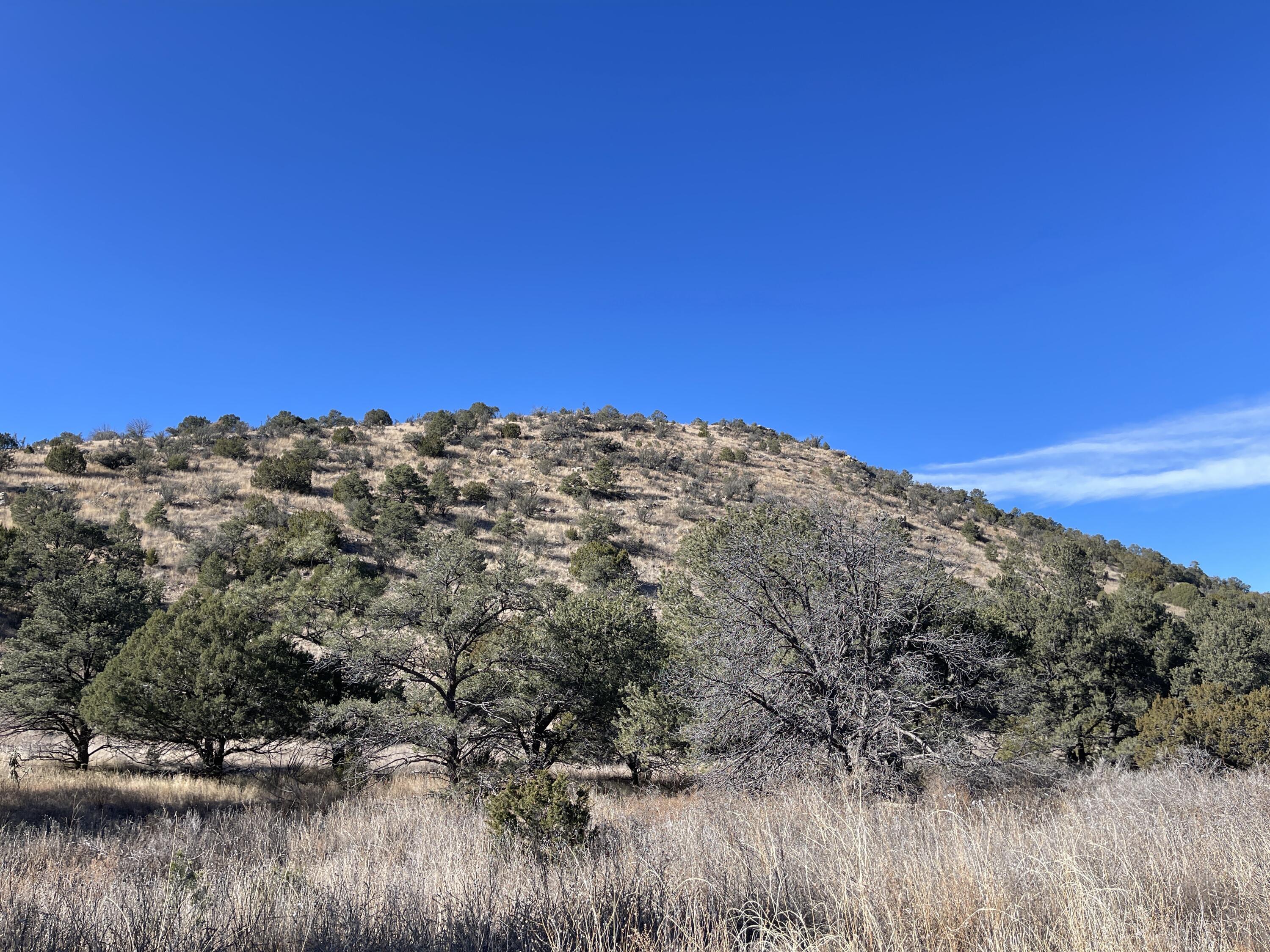 14+ Acres Hop Canyon
