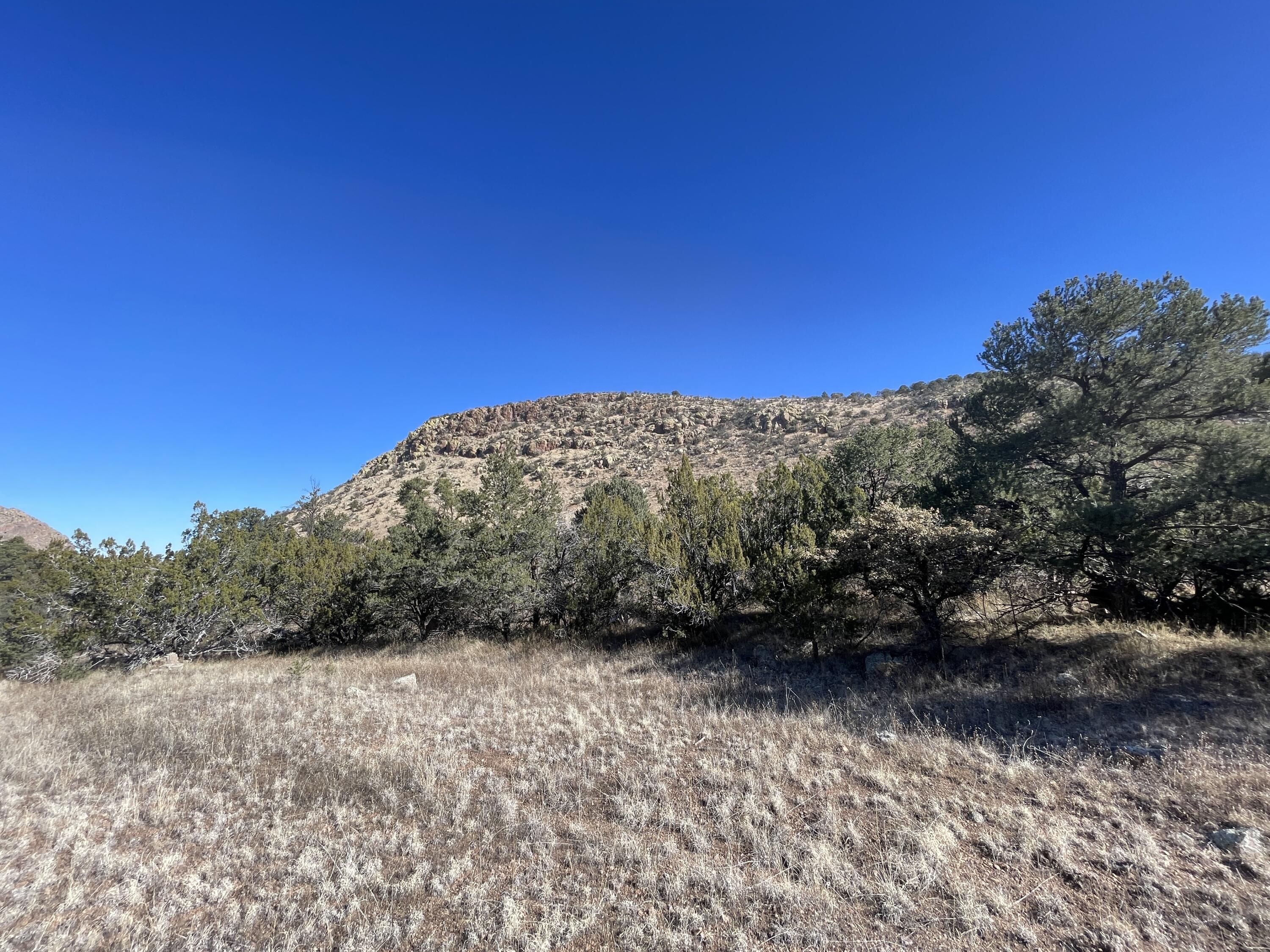 14+ Acres Hop Canyon